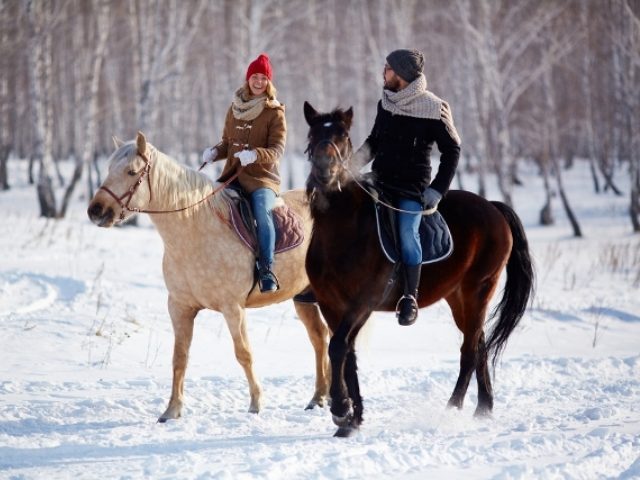 Катание на лошадях зимой
